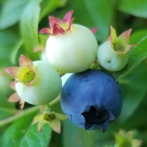 Meet your Posher, Kara